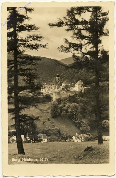 Neuhaus, Burg Neuhaus