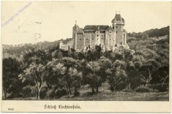 Maria Enzersdorf, (Mödling), Burg Liechtenstein