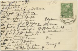 Maria Enzersdorf, (Mödling), Burg Liechtenstein