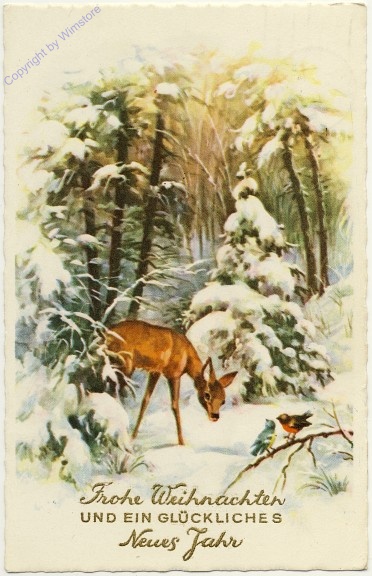Reh im Winterwald