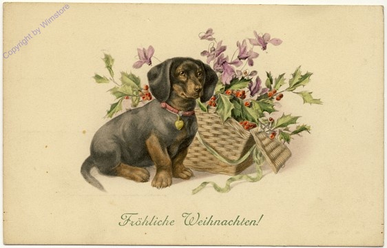 Hund vor Korb mit Zweigen