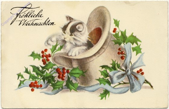 Katze im Hut