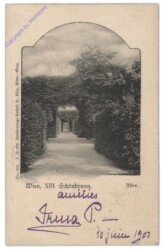 Wien 13, Schönbrunn, Allee