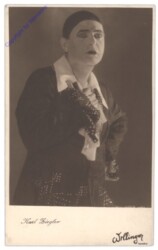 Ziegler Karl, Willinger