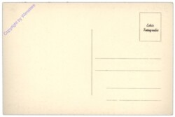 Wien 1, Stephanskirche