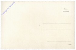 ak101695a Wien 1, Rathaus