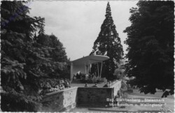 Bad Gleichenberg, Musikpodium und Wellingtonie