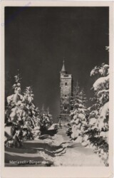 Bürgeralpe bei Mariazell, Turm