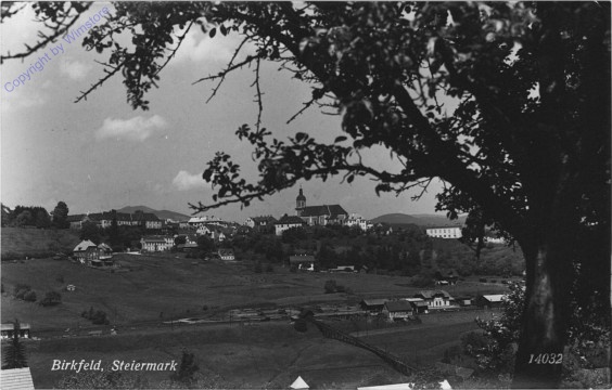 Birkfeld, Ortsansicht