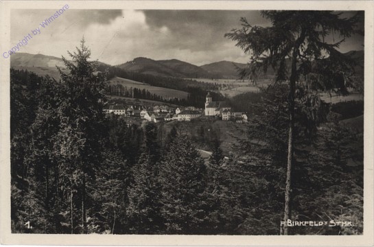 Birkfeld, Ortsansicht
