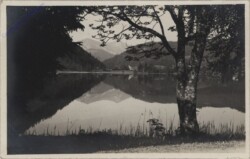 Mariazell, Erlaufsee