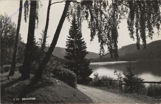 ak101941 Mariazell, Erlaufsee