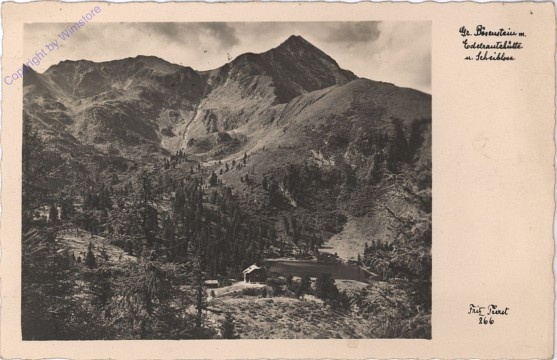 ak101985 Rottenmann, Edelraute-Hütte mit Gr. Bösenstein