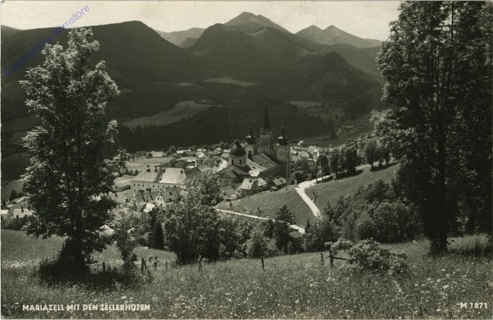 ak102373 Mariazell, mit den Zellerhüten