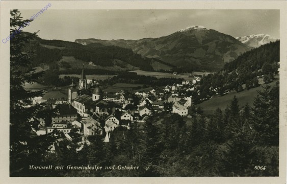 ak102380 Mariazell, mit Gemeindealpe und Ötscher