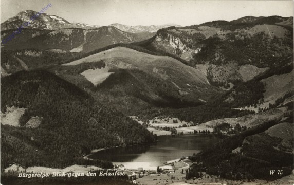 Bürgeralpe, Blick gegen den Erlaufsee
