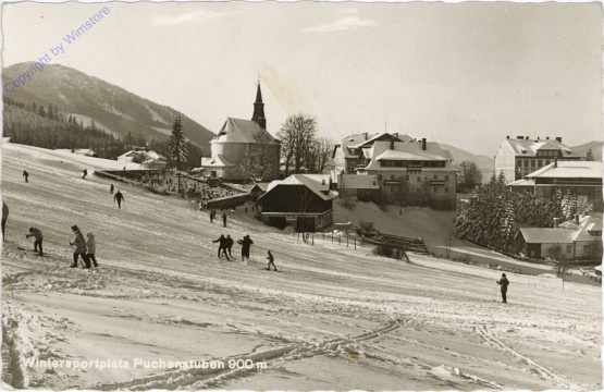 Puchenstuben, im Winter