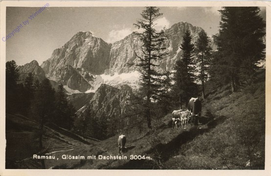 ak102456 Ramsau, Glösalm mit Dachstein