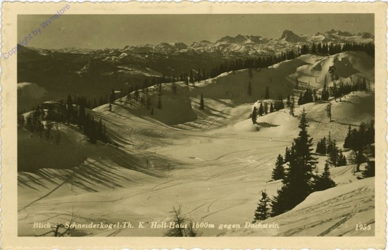 ak102526 Schneiderkogel, Th. K. Holl-Haus