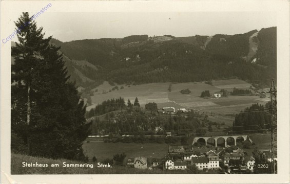 Steinhaus am Semmering, Ortsansicht
