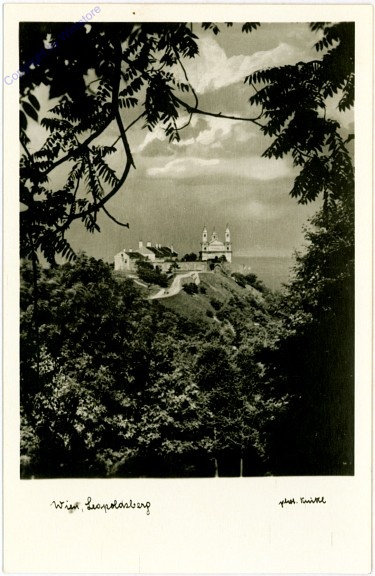 ak103704 Wien 19, Leopoldsberg