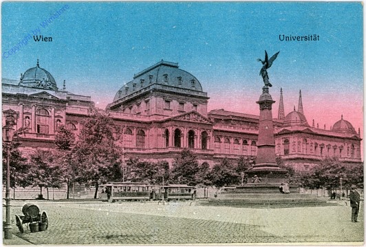 Wien 1, Universität