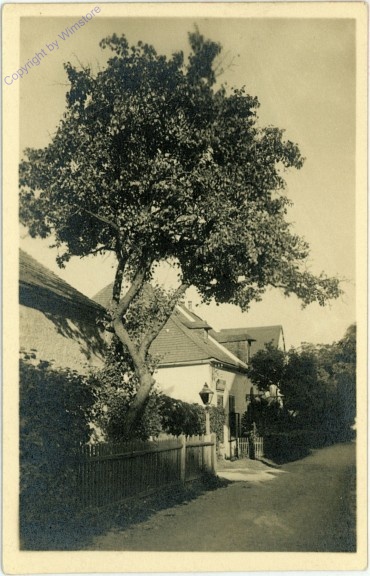 Wien 19, Studie am Kahlenberg