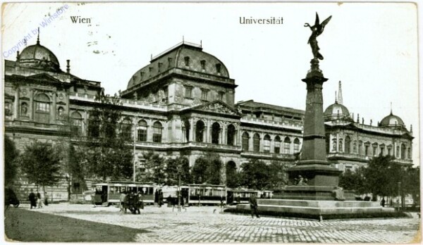 Wien 1, Universität