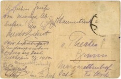 Wien 1, Universität