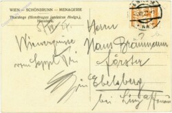 Wien 13, Schönbrunn, Menagerie, Tharziege