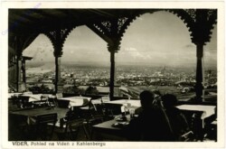 Viden 19, Pohled na Viden z Kahlenbergu