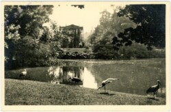 ak104320 Wien 1, Stadtpark