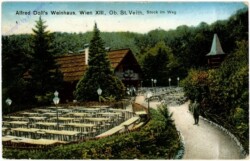 Wien 13, Alfred Doll's Weinhaus, Ob.St.Veith, Stock im Weg