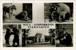 Wien 13, Schönbrunn Tiergarten