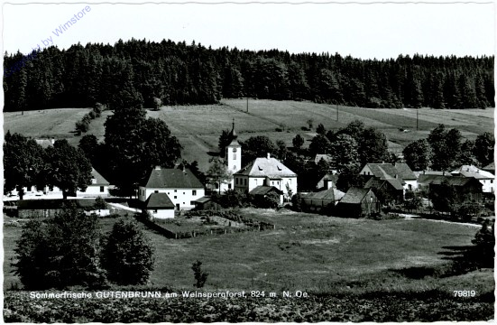 ak104721 Gutenbrunn, Ortsansicht