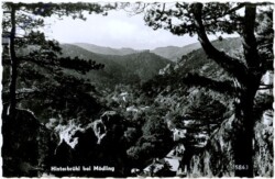 Hinterbrühl, Ortsansicht
