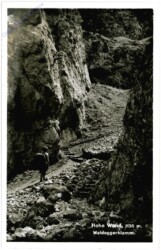 Hohe Wand, Waldeggerklamm