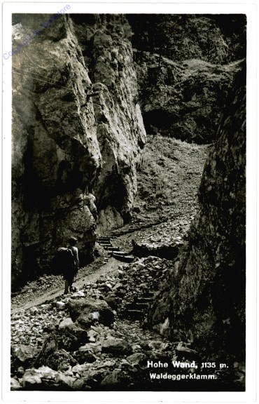 Hohe Wand, Waldeggerklamm