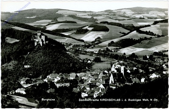 Kirchschlag i.d. Buckligen Welt, Ortsansicht, Burgruine