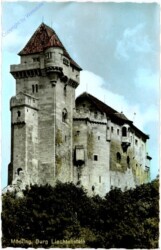 Maria Enzersdorf, Burg Liechtenstein (Mödling)