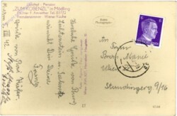 Maria Enzersdorf, Burg Liechtenstein