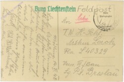 Maria Enzersdorf, Feste Liechtenstein