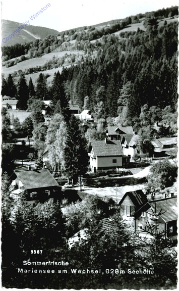 ak105185 Mariensee am Wechsel, Ortsansicht