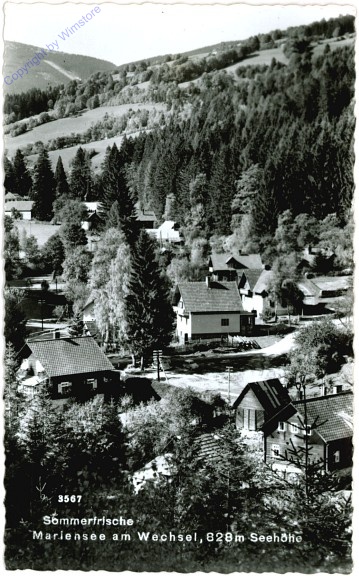 ak105188 Mariensee am Wechsel, Ortsansicht