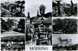 Mödling, Multiansicht