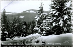 Mönichkirchen, Skiparadies Mönichkirchen Schwaig