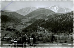 Miesenbach, Rotte Scheuchenstein gegen Schneeberg