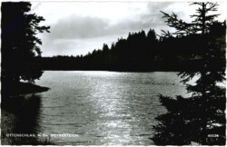 Ottenschlag, Weyrerteich