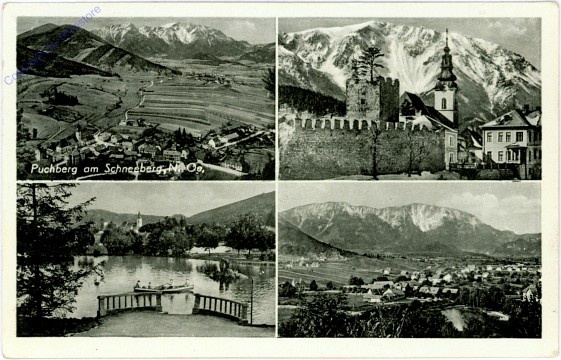 ak105390 Puchberg am Schneeberg, Multiansicht