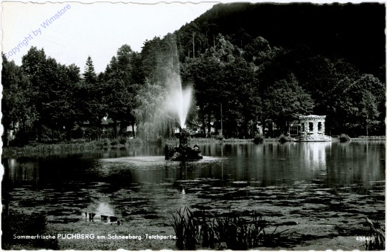 ak105398 Puchberg am Schneeberg, Teichpartie